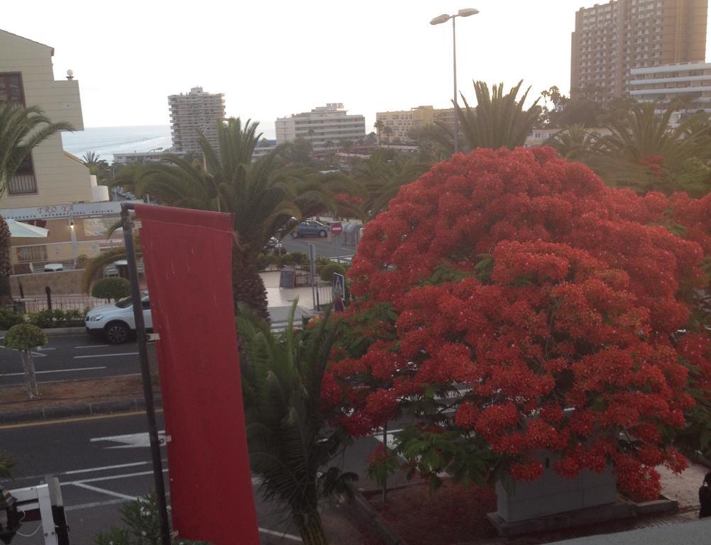 Penthouse El Mirador Los Cristianos Tenerife - Vv Los Cristianos (Tenerife) Quarto foto